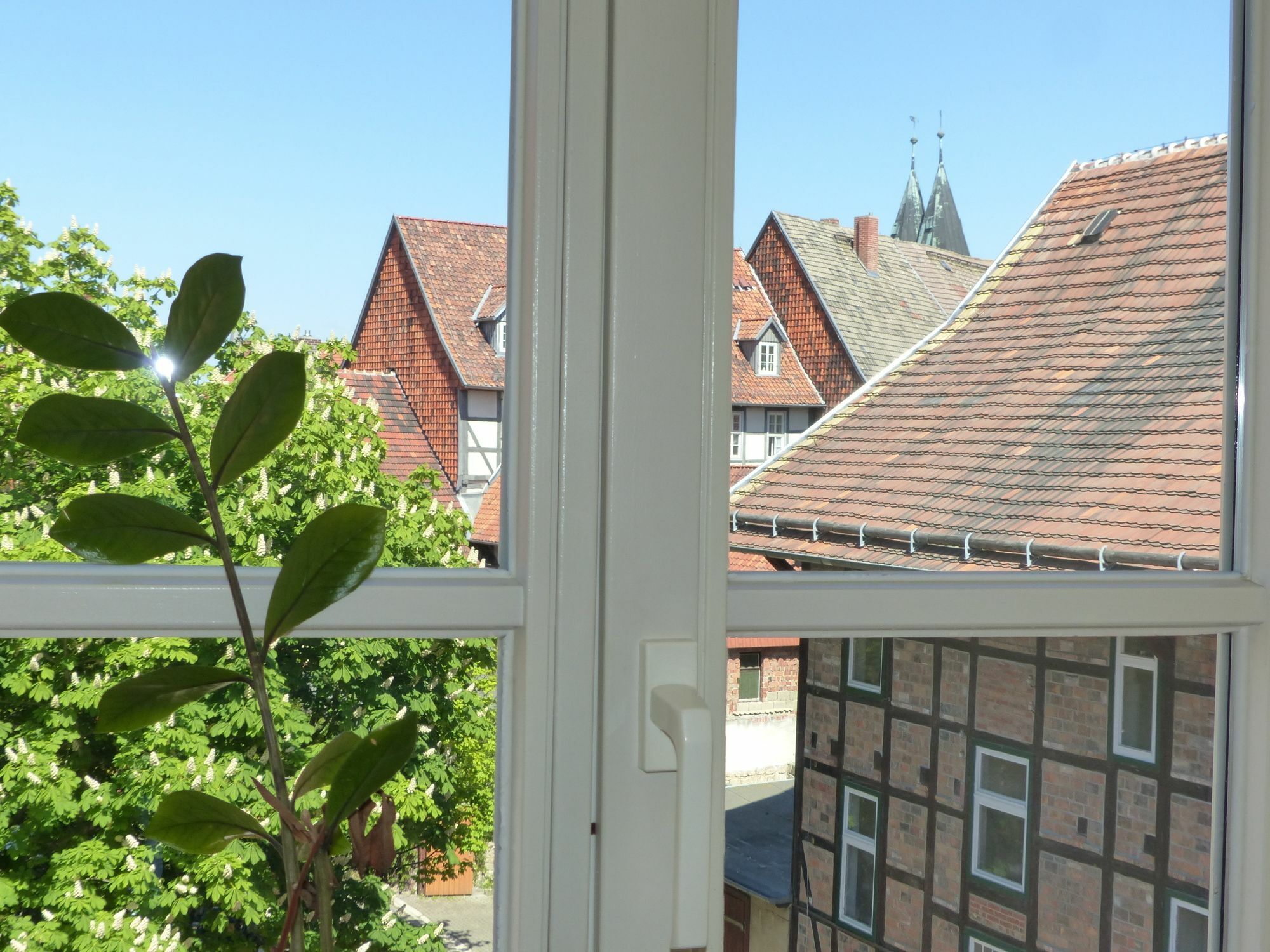 Hotel Zum Brauhaus Quedlinburg Eksteriør billede